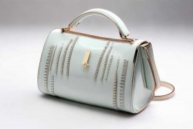 奢侈品包包图片大全新款；奢侈品包包图片大全新款价格