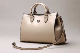 品牌女包样式 - 女式品牌包包