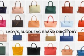 女士平价包包品牌大全有哪些、女士平价包包品牌大全有哪些牌子
