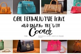 蔻驰十大必买包是哪几款（蔻驰十大必买包是哪几款图片）