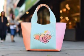 女士休闲帆布包2025新款爆款 女士休闲帆布包2025新款爆款图片