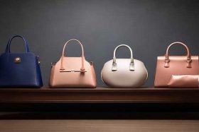 冷门轻奢包包大全（冷门轻奢包包大全图片）