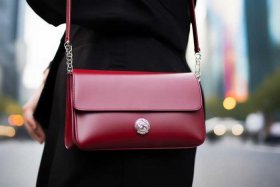 女士斜挎包什么品牌比较好、女士斜挎包什么品牌比较好看