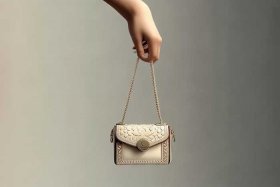 女士手提包小包带链子、女士手提包小包带链子图片