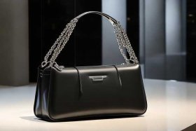 女士新品包包（女士新品包包图片大全）