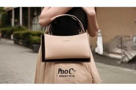 千元包包品牌排行榜前十名蔻驰 千元价位包包品牌