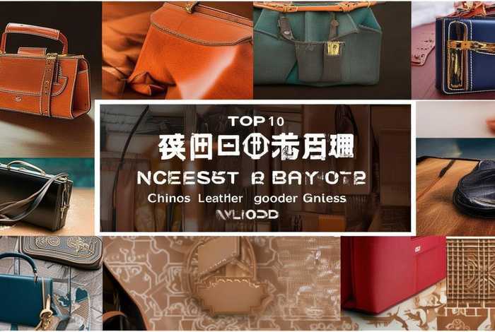 中国皮具十大品牌 中国皮具十大品牌排名