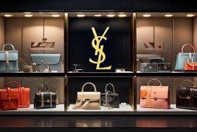 圣罗兰的品牌介绍图片、圣罗兰的品牌介绍图片及价格