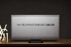 圣罗兰美妆中国官方网站是多少（圣罗兰美妆中国官方网站是多少号）