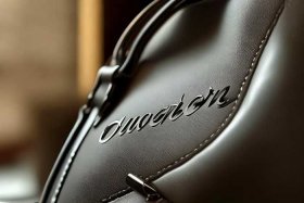 奢侈品女包标志图片（奢侈品女包标志图片及价格）