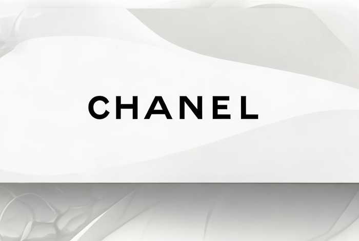 香奈儿品牌介绍ppt模板，香奈儿品牌介绍ppt模板免费下载