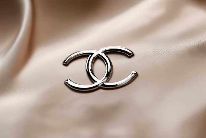 香奈儿的标志logo图片、香奈儿的标志logo图片高清
