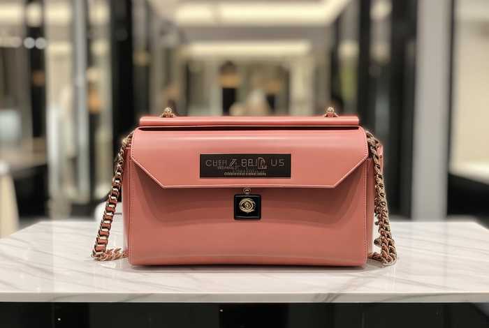 香奈儿2024新款包包什么价格（香奈儿2024新款包包什么价格啊）