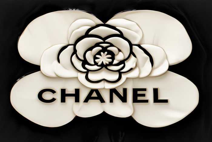 香奈儿山茶花logo图案 香奈儿山茶花logo图案是什么