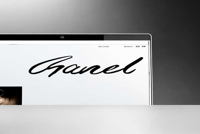 香奈儿德国官网中文版，香奈儿德国官网中文版是正品吗