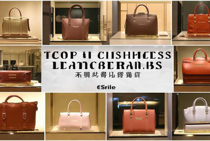 中国皮具包品牌（中国皮具包包品牌前十名）