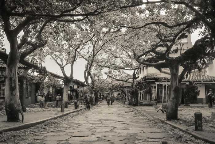 奢侈品批发供应商（奢侈品批发供应商招聘）