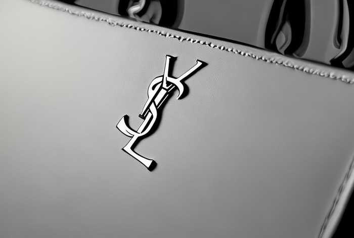 圣罗兰包包真假鉴定logo - 圣罗兰包包真假鉴定图解