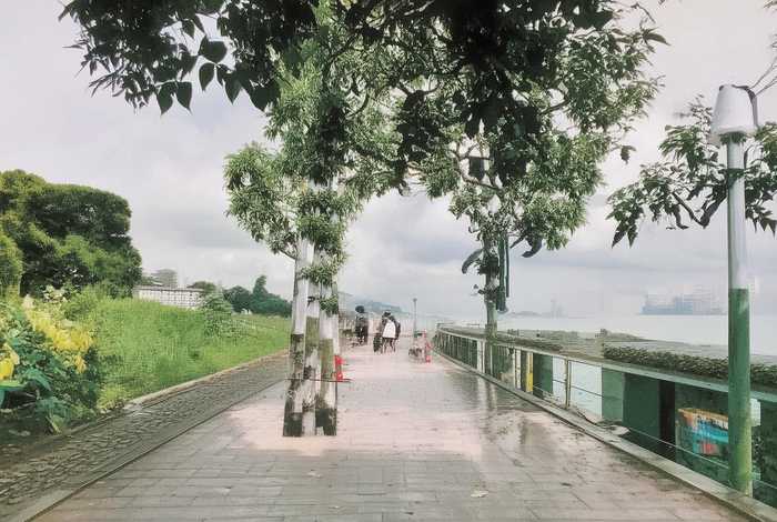 奢侈品牌子排名前50名、奢侈品牌子排名前50名图片