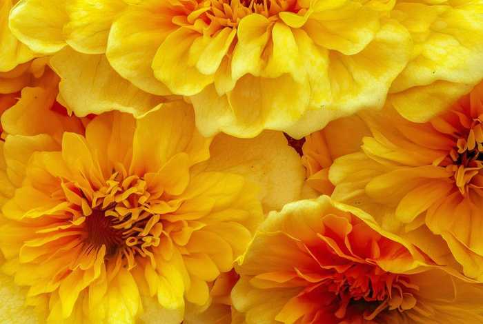 时尚包包钩织教程视频 - 时尚包包钩织教程视频大全