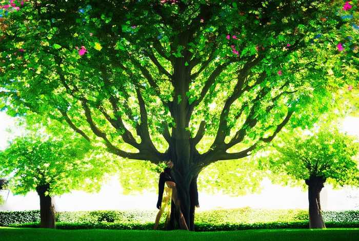 圣罗兰也叫杨树林吗（圣罗兰也叫杨树林吗为什么）