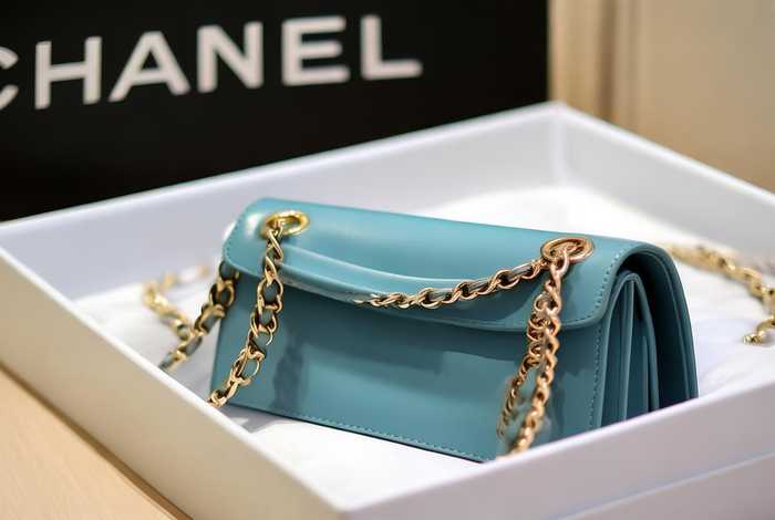 香奈儿包包最新款 香奈儿包包最新款多少钱