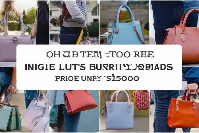 十大小众轻奢品牌包包500以内学生、十大小众轻奢品牌包包500以内学生可以用吗