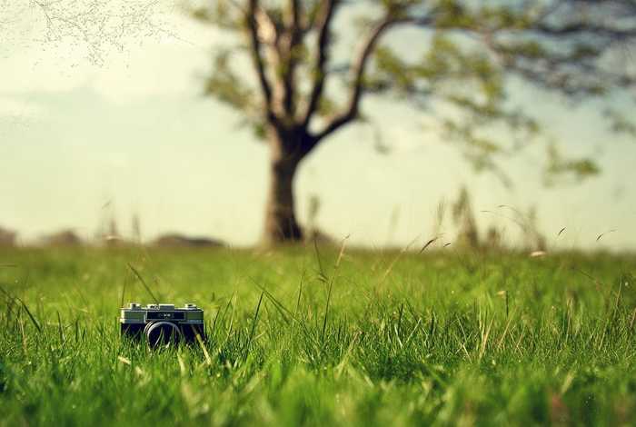 世界著名摄影大师名言，世界著名摄影大师名言名句