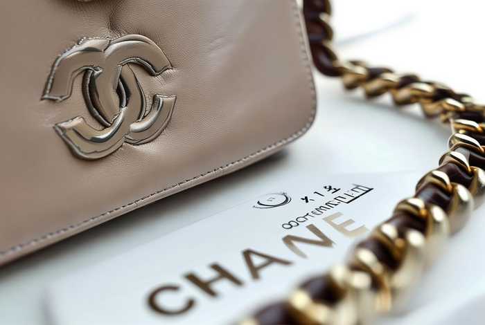香奈儿包包怎么辨别正品什么价格（香奈儿包包怎么辨别正品什么价格的）
