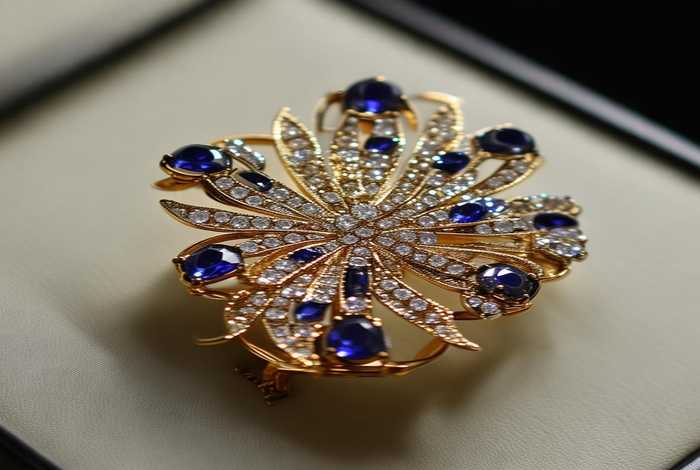 香奈儿官网店胸针 - 香奈儿官网店胸针是正品吗