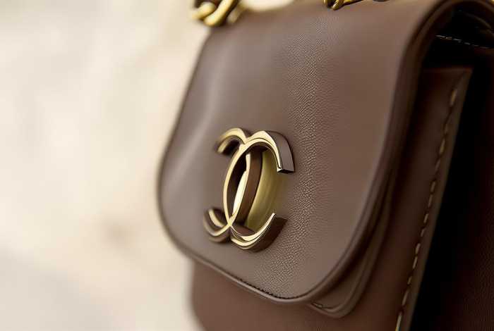 香奈儿包包标志、香奈儿包包标志图片