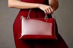 十大公认好看的女士包图片（好看的女士包包图片大全）
