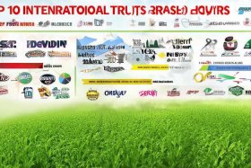 十大名牌肥料排名；中国十大名牌肥料排名