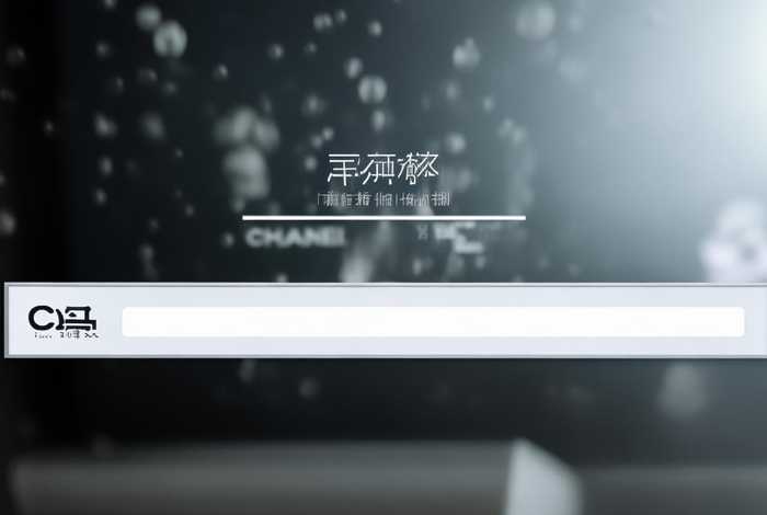 香奈儿官网查真伪，香奈儿官网查真伪查询入口