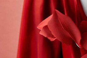 像四个花瓣的标志（像四个花瓣的标志衣服品牌）