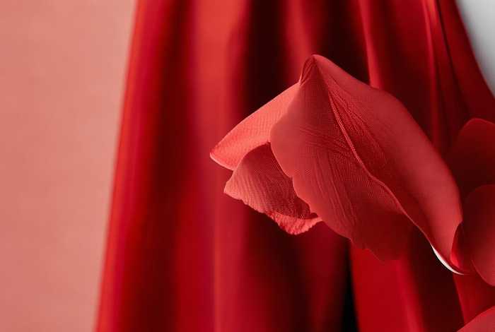 像四个花瓣的标志(像四个花瓣的标志衣服品牌) 像四个花瓣的标志(像四个花瓣的标志衣服品牌)