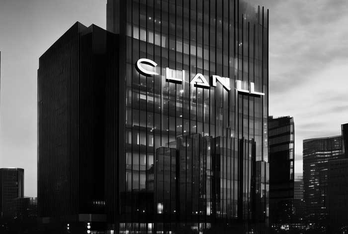 香奈儿德国官方网站（香奈儿 德国官网）