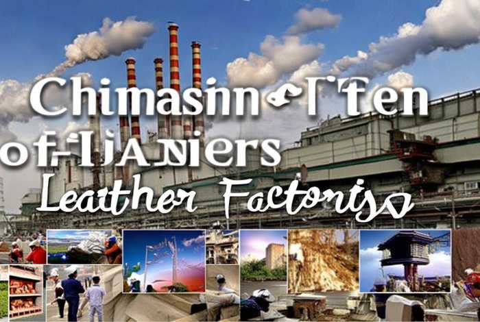 中国十大皮革厂；中国十大皮革厂家