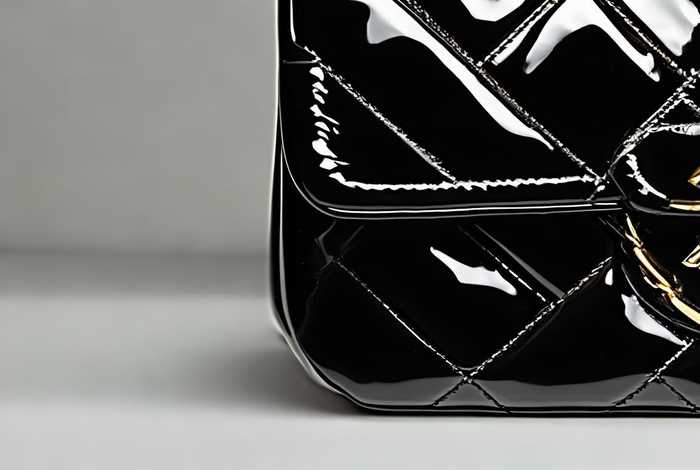 香奈儿19包包官方价格及图片 香奈儿19官方价格查询 香奈儿19包包官方价格及图片 香奈儿19官方价格查询