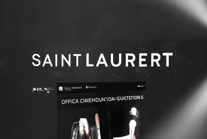 圣罗兰官网美国官网，圣罗兰美国官网入口