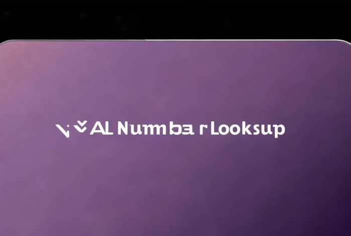 圣罗兰编号查询入口，圣罗兰编号查询入口官网