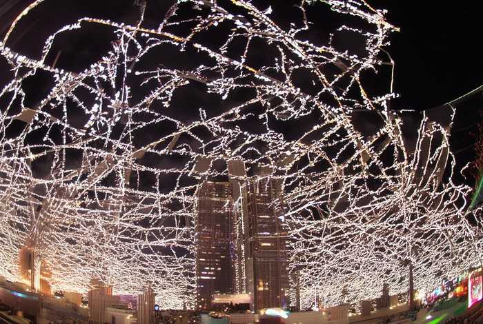 世界名包有哪些牌子，世界名包有哪些牌子图片