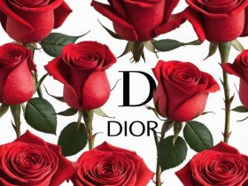 dior保值包包推荐（dior包保值率）