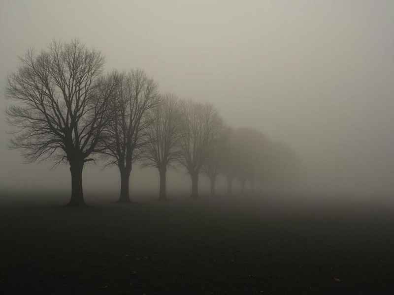 类似fog的鞋;类似fog101的鞋 类似fog的鞋;类似fog101的鞋