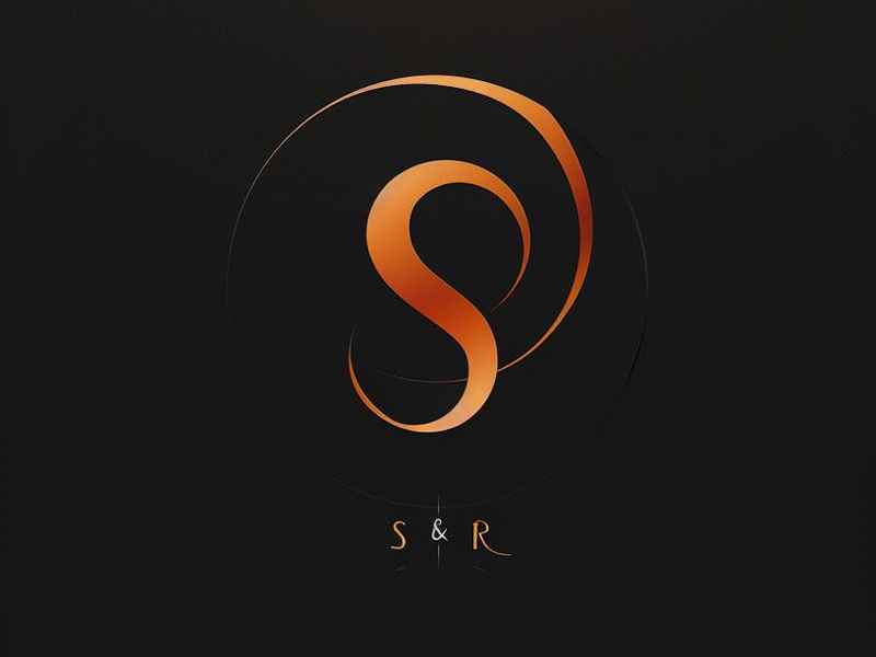 s开头的女包有哪些（s开头的包包品牌logo有哪些）