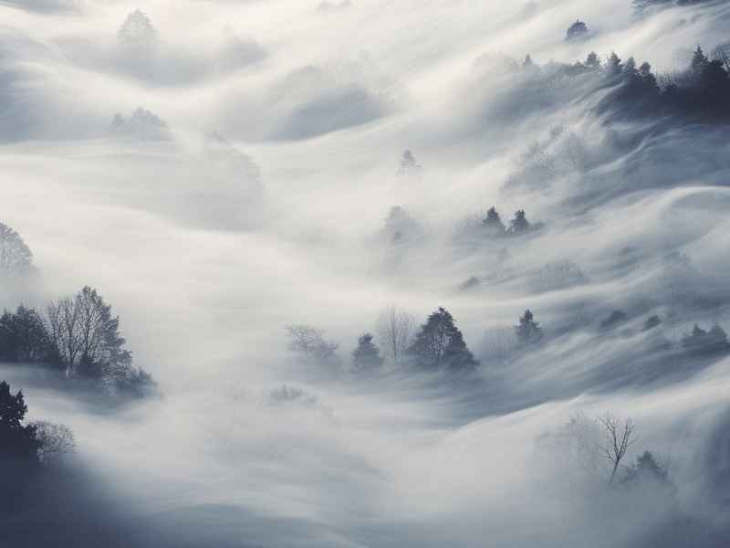 fog类似小说;类似fog人设的小说 fog类似小说;类似fog人设的小说