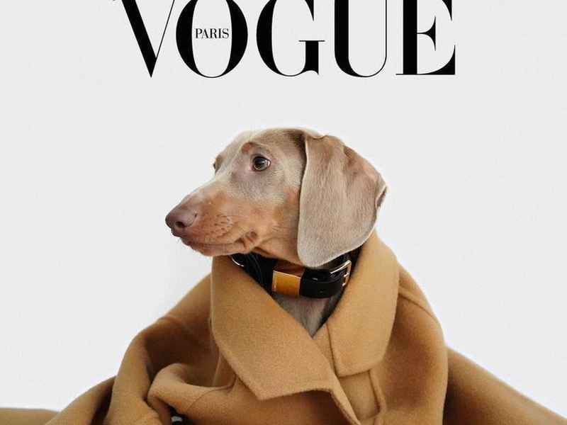 vogue是什么牌子衣服 vogue fashion是什么牌子衣服