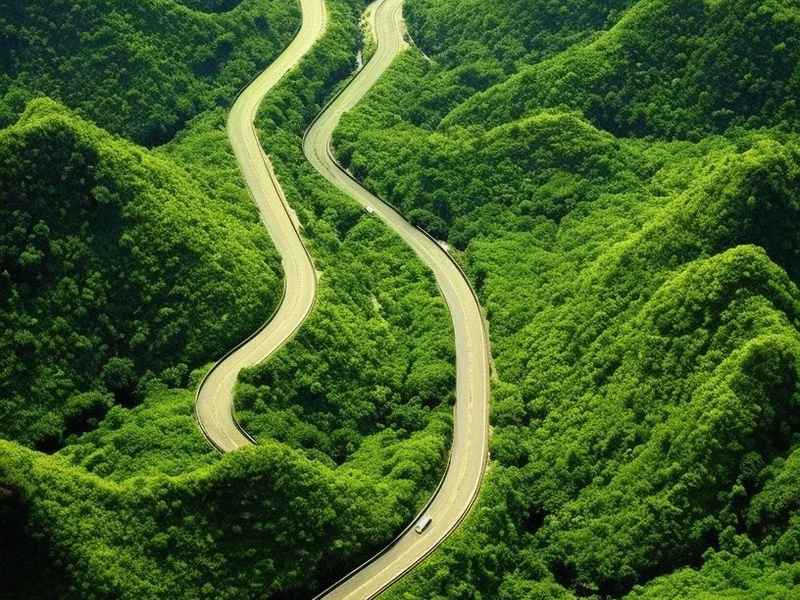 mk和蔻驰哪个档次高一点、mk和蔻驰哪个更有高档 mk和蔻驰哪个档次高一点、mk和蔻驰哪个更有高档