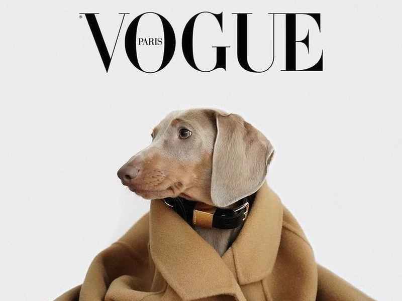 vogue是奢侈杂志么（vogue杂志是什么档次）