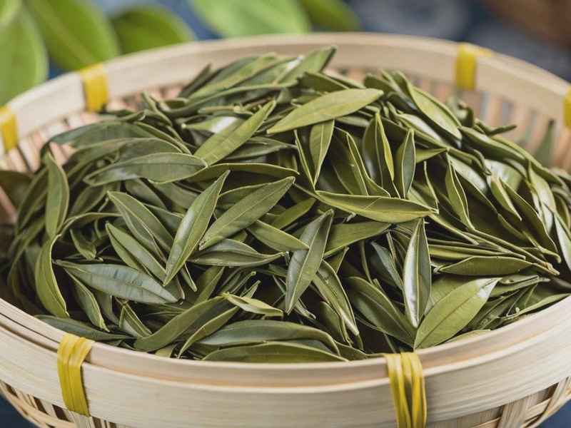 中年女性适合喝什么茶、中年女性适合喝什么茶叶好 中年女性适合喝什么茶、中年女性适合喝什么茶叶好